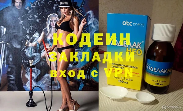 прущие грибы Сатка
