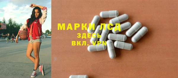 прущие грибы Сатка