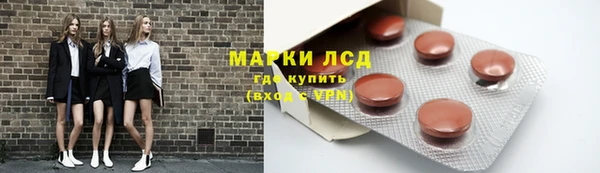 прущие грибы Сатка