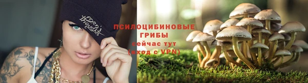прущая мука Сафоново