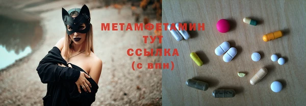 прущие грибы Сатка