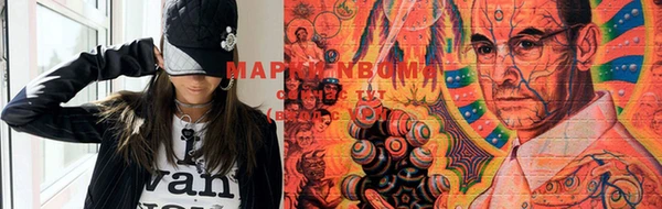 прущие грибы Сатка