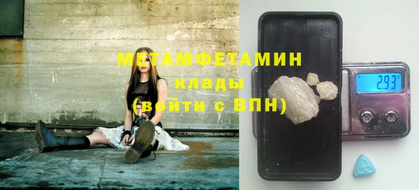 прущие грибы Сатка