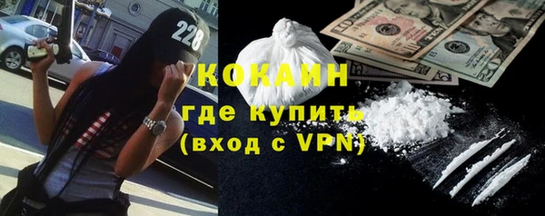 прущие грибы Сатка