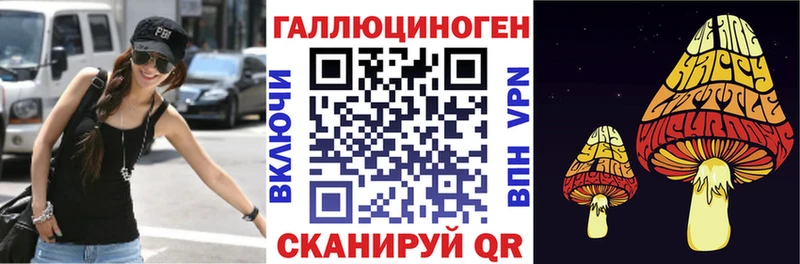 Псилоцибиновые грибы GOLDEN TEACHER  Череповец 